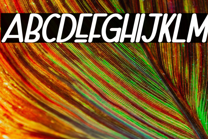 Naura-BoldSlant_DEMO Example 1