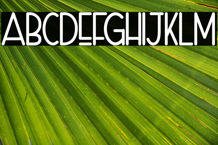 Naura-Regular_DEMO Example 3