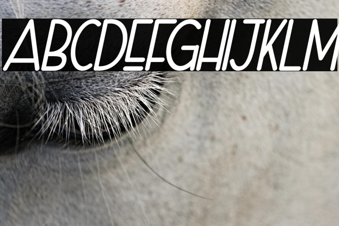 Naura-Slant_DEMO Example 2