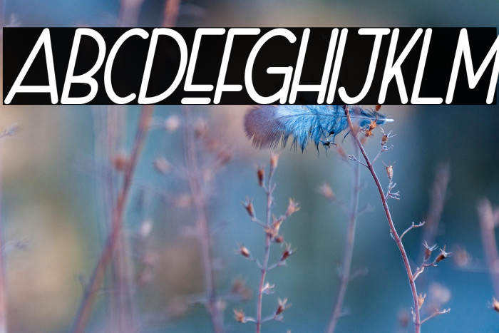 Naura-Slant_DEMO Example 3