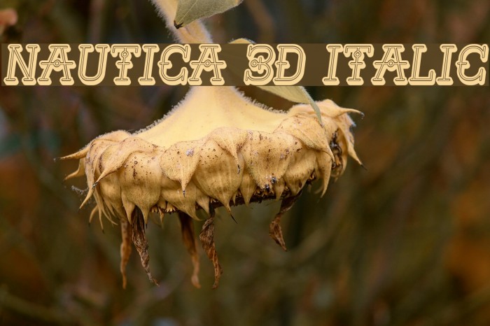 Nautica 3D Italic Example 1
