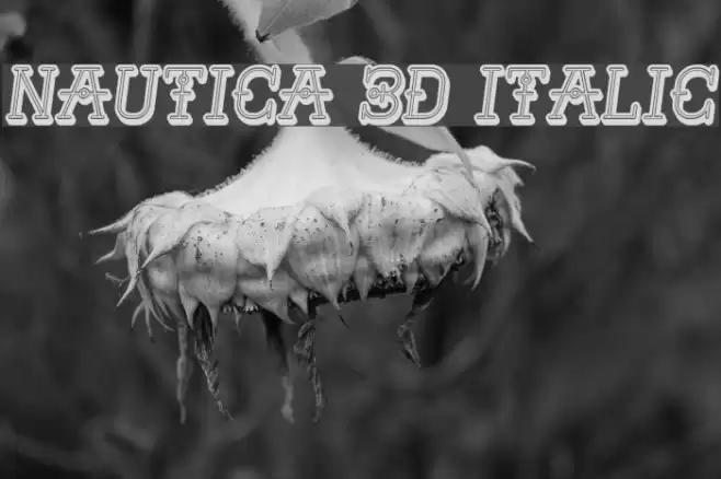 Nautica 3D Italic Font examples