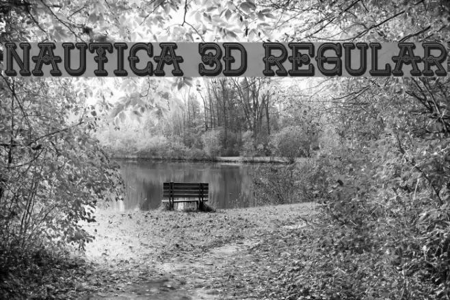 Nautica 3D Regular Example 2