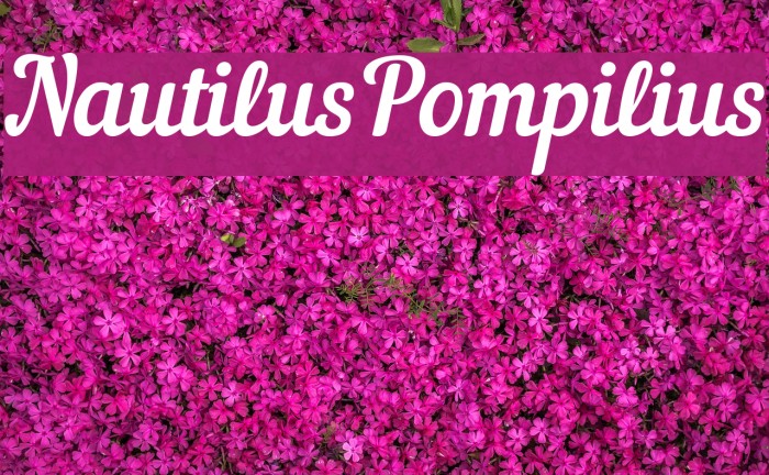 NautilusPompilius Font examples