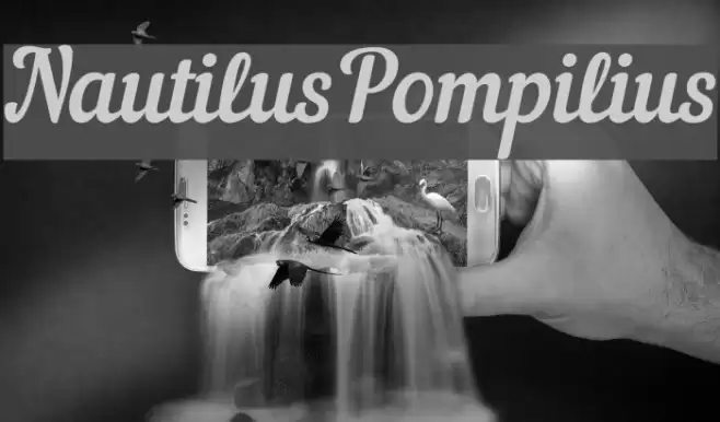 NautilusPompilius Font examples