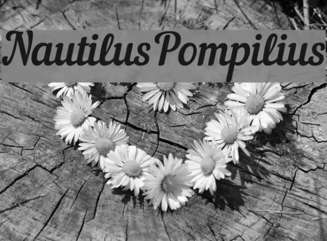 NautilusPompilius Font examples
