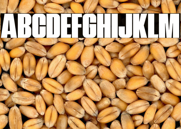 NavadaDemo Example 1