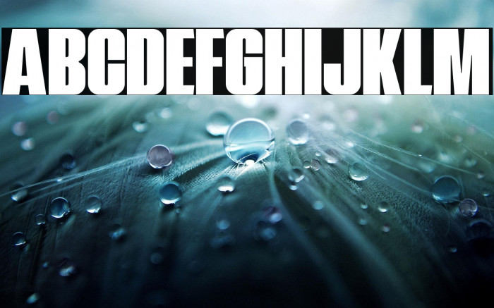 NavadaDemo Example 2