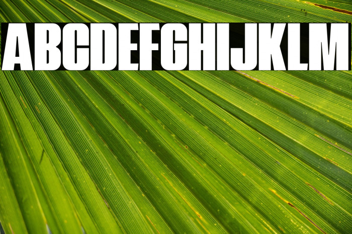 NavadaDemo Example 3