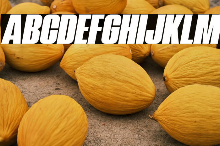 NavadaItalicDemo-Italic Example 3