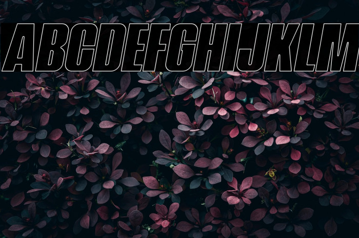 NavadaOutlineItalicDemo-OutlineItalic Example 1