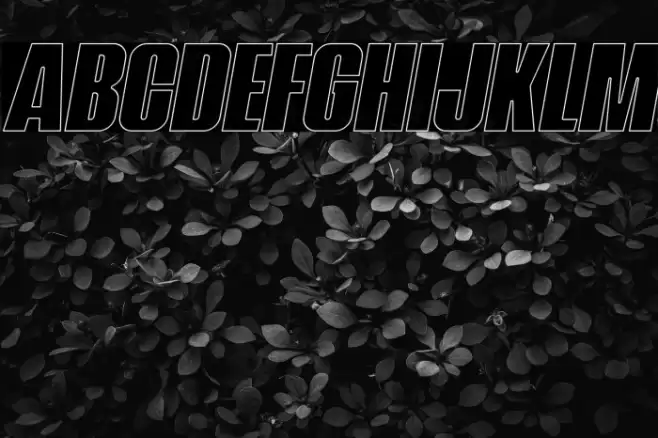 NavadaOutlineItalicDemo-OutlineItalic Font examples