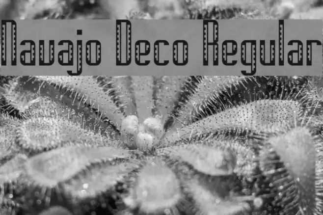 Navajo Deco Regular Example 2