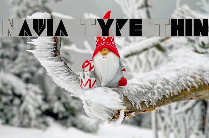 Navia Type Thin Font examples