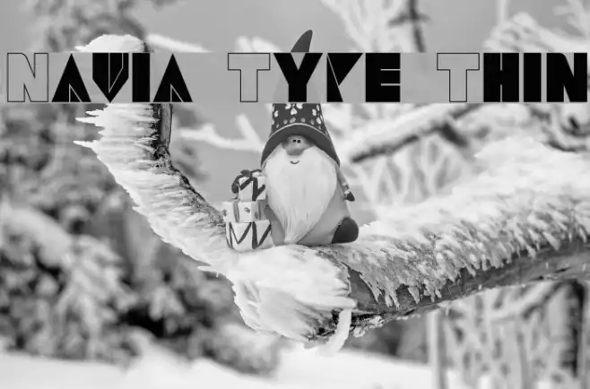 Navia Type Thin Example 2