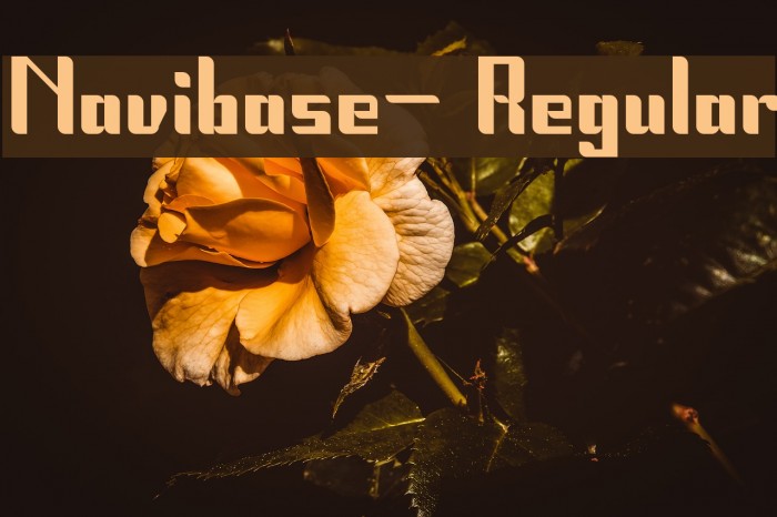 Navibase- Regular Font examples