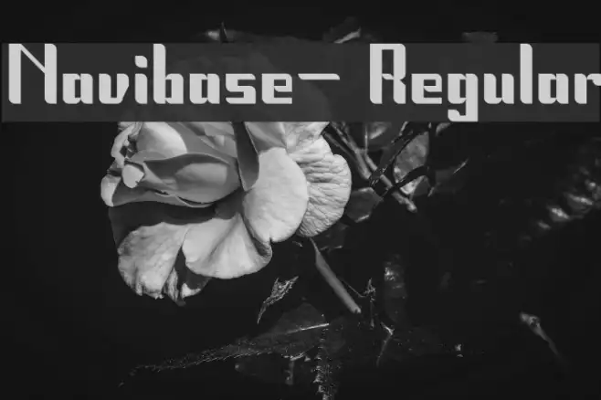 Navibase- Regular Example 1