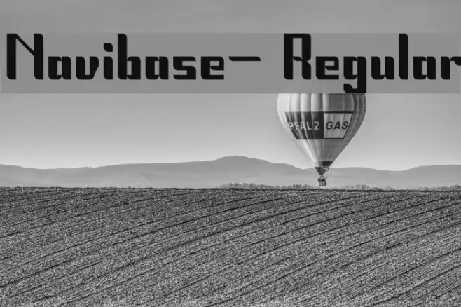 Navibase- Regular Example 2