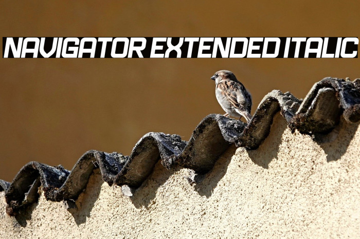 Navigator Extended Italic Example 1