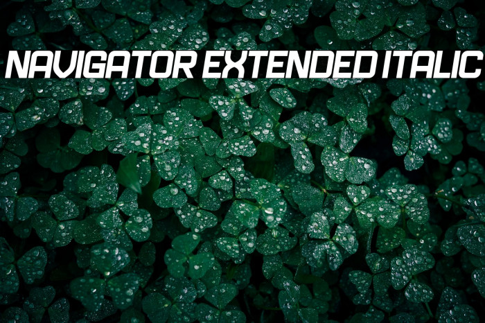 Navigator Extended Italic Example 2