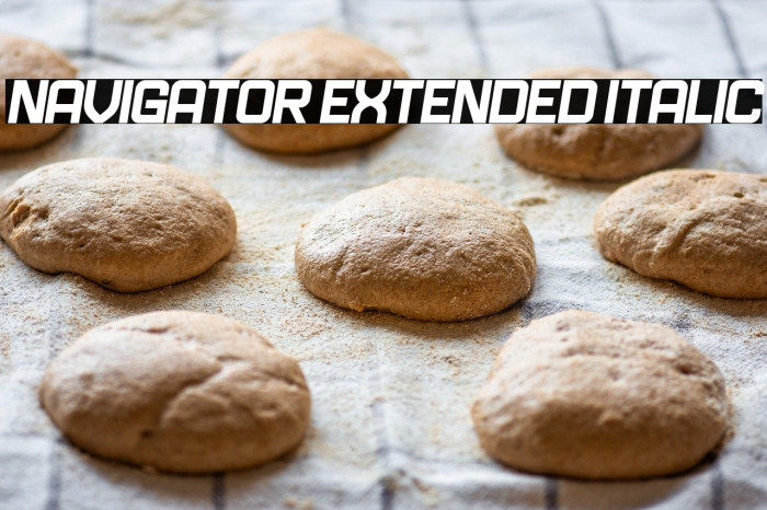 Navigator Extended Italic Example 3