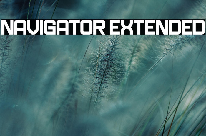 Navigator Extended Example 1