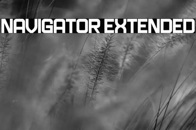 Navigator Extended Example 1
