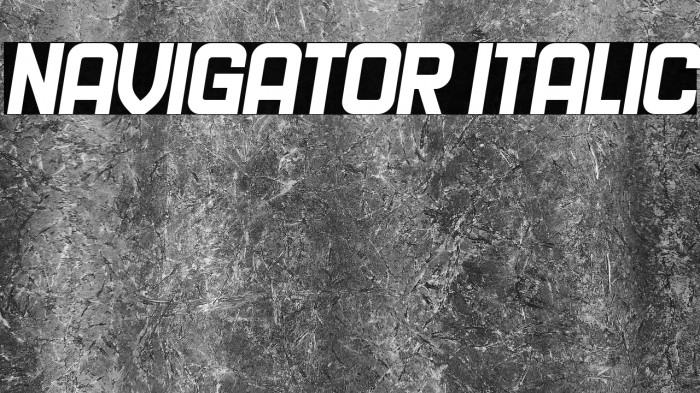 Navigator Italic Example 1