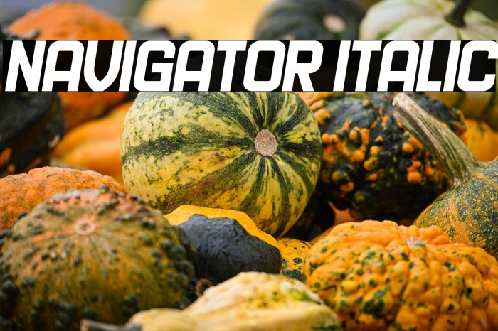 Navigator Italic Example 2