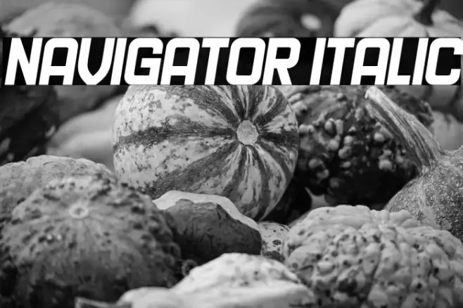 Navigator Italic Example 2