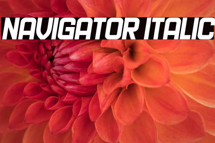 Navigator Italic Example 3