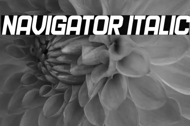 Navigator Italic Example 3