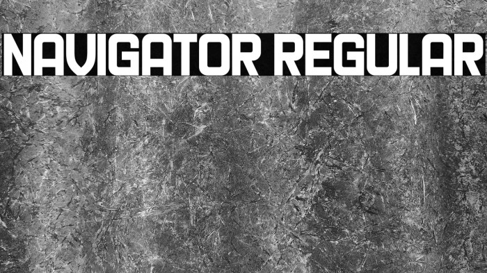 Navigator Regular Example 1