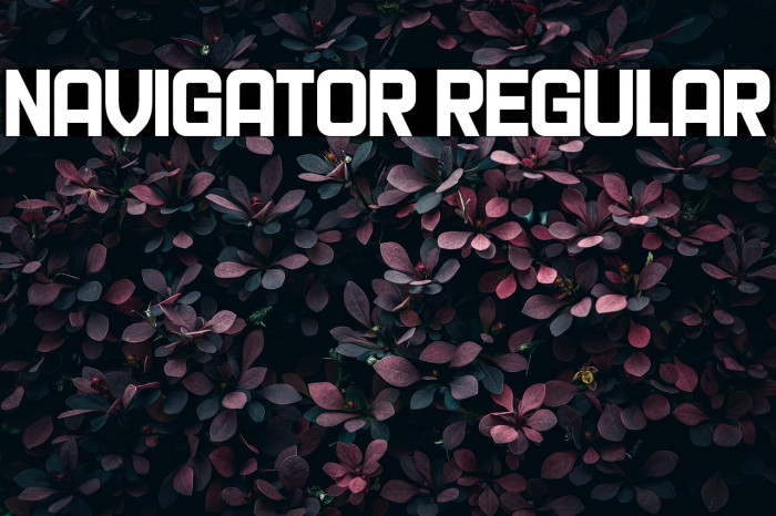 Navigator Regular Example 2