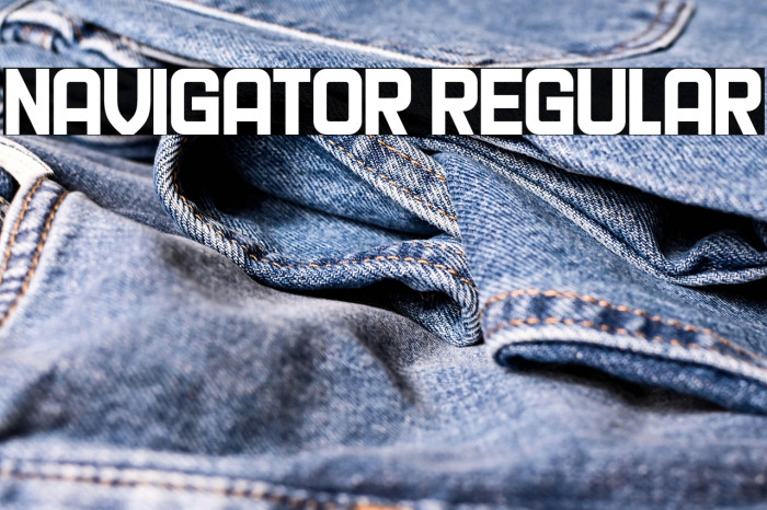 Navigator Regular Example 3