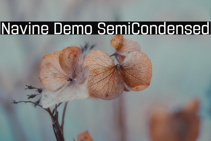 Navine Demo SemiCondensed Example 1