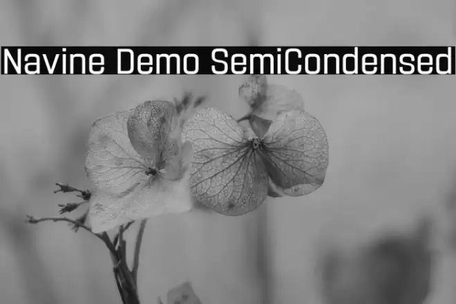 Navine Demo SemiCondensed Font examples
