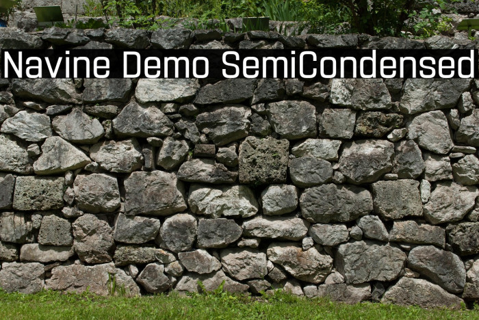Navine Demo SemiCondensed Example 3