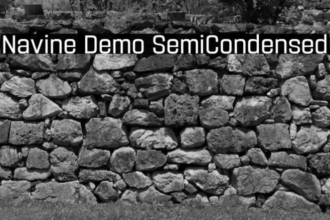 Navine Demo SemiCondensed Font examples