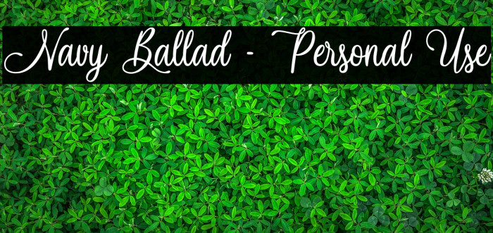 Navy Ballad - Personal Use Font examples