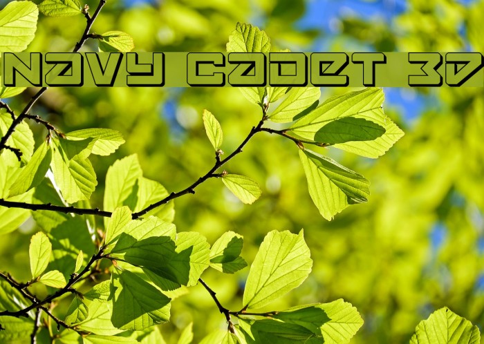 Navy Cadet 3D Font examples