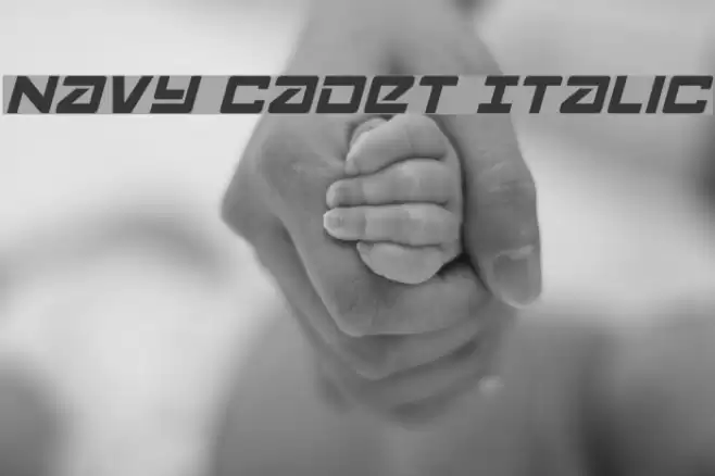 Navy Cadet Italic Font examples