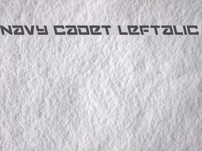 Navy Cadet Leftalic Font examples