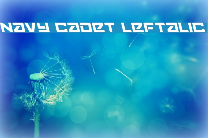 Navy Cadet Leftalic Font examples