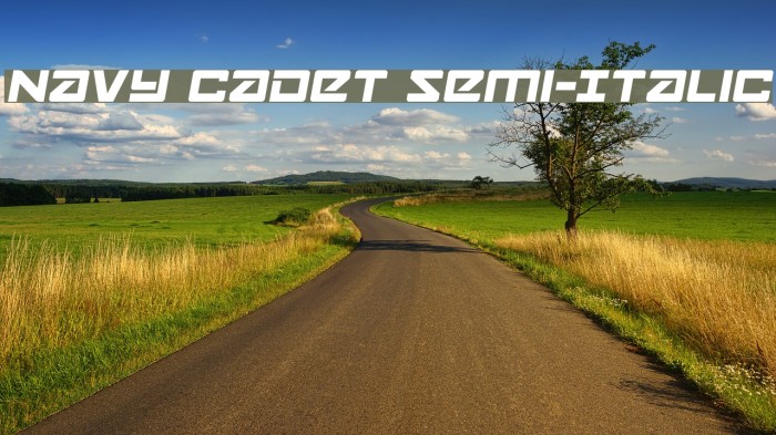 Navy Cadet Semi-Italic Font examples