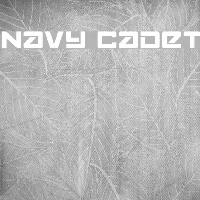 Navy Cadet Example 1