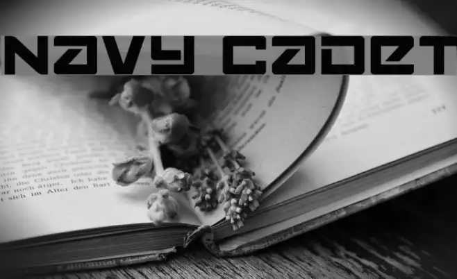 Navy Cadet Example 2