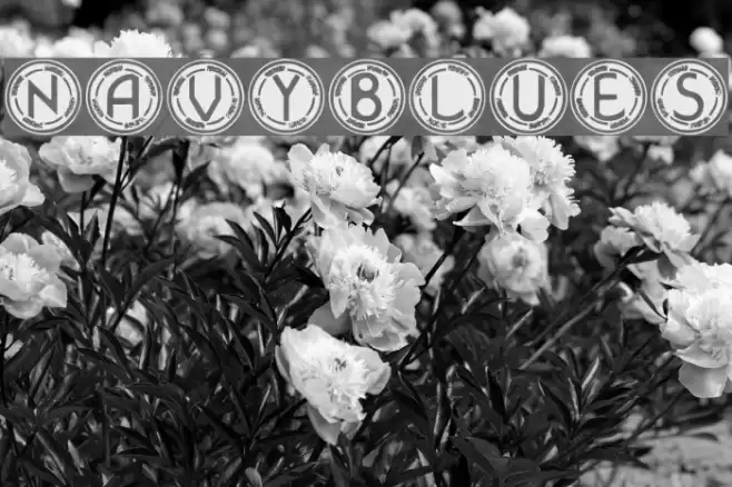 NavyBlues Font examples