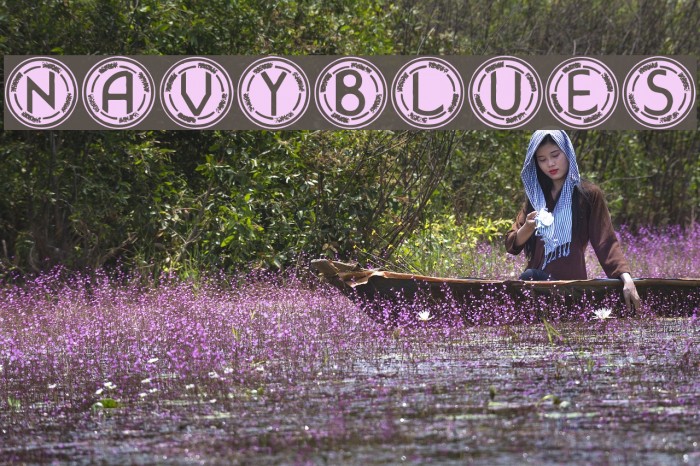 NavyBlues फ़ॉन्ट examples