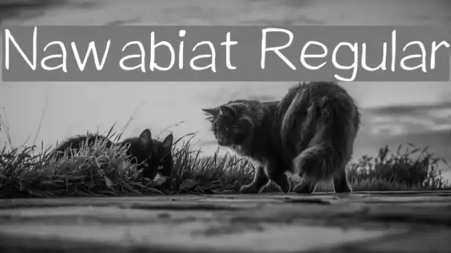 Nawabiat Regular Example 3
